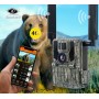 4G фотопастка KeepGuard KW897 (36Mp, 2K)