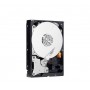 Жорсткий диск Western Digital 1TB 3.5